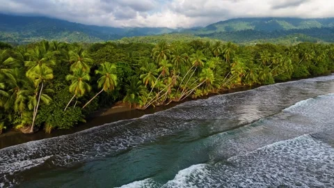 Smooth semi orbit drone shot of palm trees and waves on Uvita Beach, Costa Rica Stock Footage 328129963