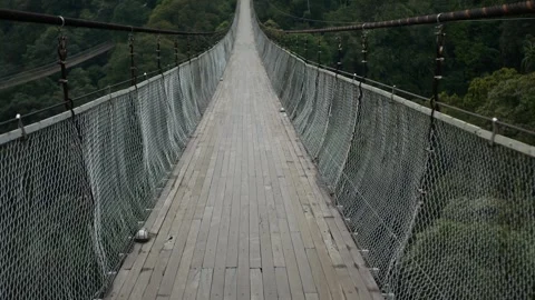 Smooth Shaky Moving Suspension Bridge. Longest cable suspension bridge at s.. Stock-Footage 258339870