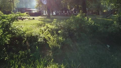 Smooth shooting from a copter over a recreation center in the forest, sun glare Vidéo 204879328