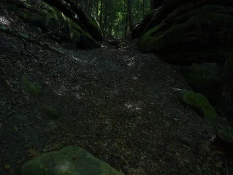 Smooth shot moving up hill at Ledges in Cuyahoga Valley Forest Stock Footage 82644147