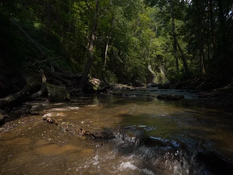Smooth Shot over Stream through Ohio Woods Stock Footage 77167644