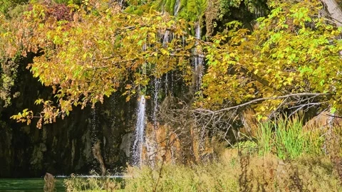 Smooth sideways camera movement reveals Hanging Lake in the Colorado Rockies Stock Footage 346030650