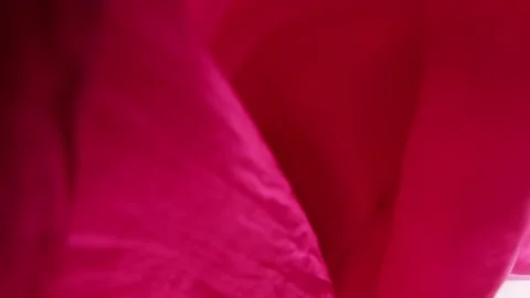 A smooth silk fabric gently falls onto a clean white background in slow motion.  Vidéo 337402822