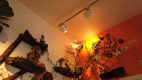 Smooth slide shot of restaurant wall decoration Stock-Footage 121384976