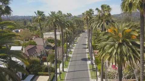 Smooth &amp; Slow Aerial Drone Beverly Hills California Palm Trees Hollywood Hills Stock Footage 103120548