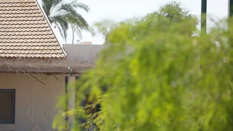 Smooth slow movement of focus from the tile roof to tree Stock Footage 96835413