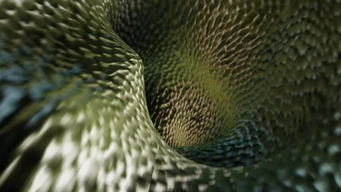 Smooth Snake Reptile Skin Texture Tunnel, Seamless Looped Visuals Stock Footage 254998334
