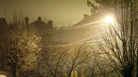 Smooth snow that settles quietly on the leafless trees on an uncirculated st Stock Footage 145664147