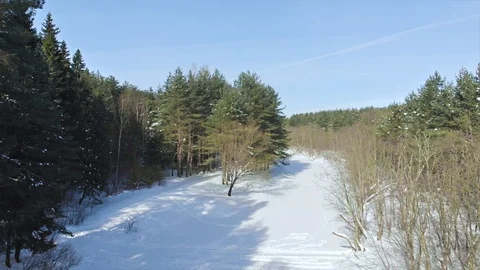 Smooth steady aerial shot of frozen river in Russian pine forest Stock Footage 87351663