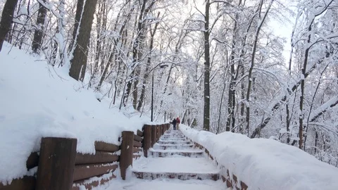 Smooth steady camera shot along narrow path in winter russian Moscow park Stock-Footage 85647473