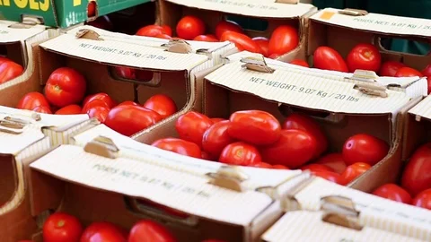 Smooth &amp; steady shot of tomatoes in a farmer's market Stock Footage 80390933