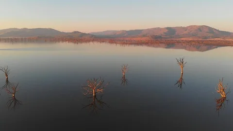 Smooth still lake at sunset showing wide vista with tree reflections. Stock Footage 108557225