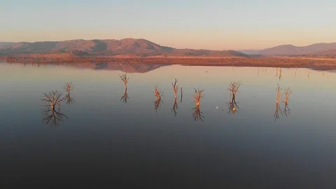 Smooth still lake at sunset showing wide vista with tree reflections. Stock Footage 108557280