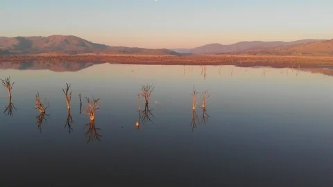 Smooth still lake at sunset showing wide vista with tree reflections. Stock Footage 108557282