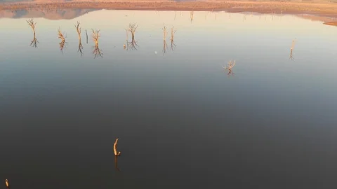 Smooth still lake at sunset showing wide vista with tree reflections. Stock Footage 108557285