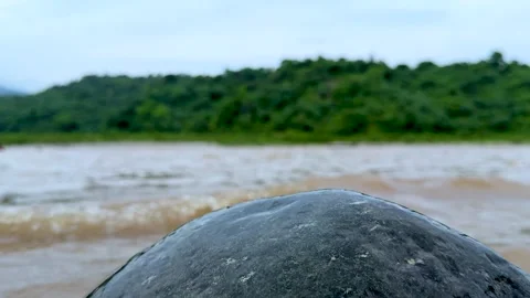 Smooth stone foreground with blurred lush green forest and river in the bac.. Stock Footage 339369339