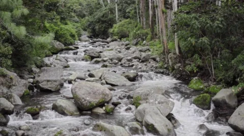 Smooth stream passing over rocks Stock Footage 62651675