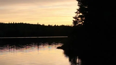 Smooth sunset pan of forest shoreline and island at sunset Stock Footage 51711345