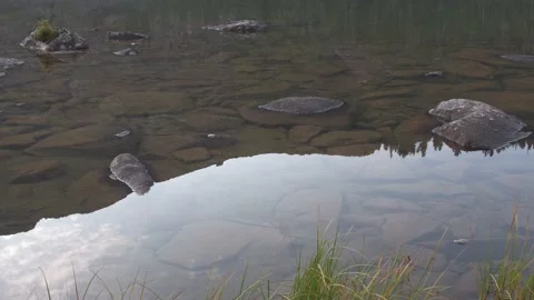 Smooth surface of lake. Green swamp grass grows on river bank Stock Footage 145889470