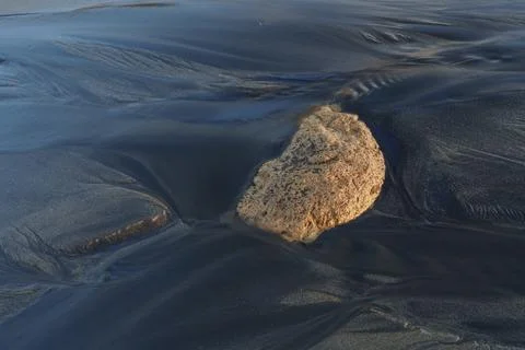 Smooth Tidal Flow Around a Single Stone in Dark Sand 스톡 사진
