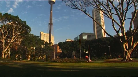 Smooth Tilt of Sky Tower Sydney Stock Footage 81498668