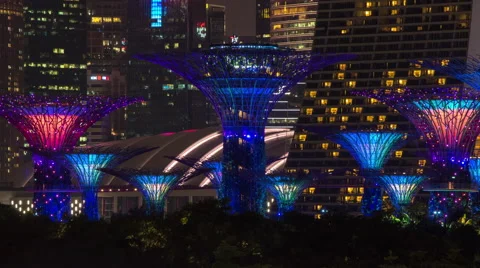 Smooth Time-lapse of Supertrees Light Show - Gardens by the Bay, Singapore Stock Footage 64621440