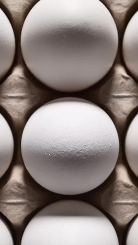Smooth top-down glide over seemingly endless, orderly rows of white eggs Vídeo Stock 319495155
