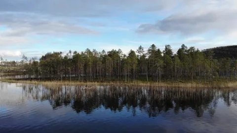 Smooth track right over a calm lake reflecting a pine forest and cloudy blue sky Stock Footage 318195480