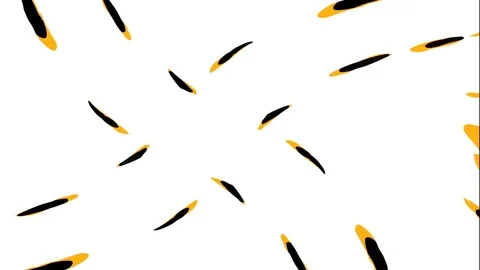 Smooth Transitions | After Effects Modèle After Effects