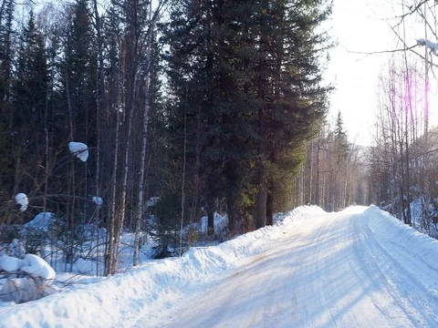 Smooth travel on the winter road Altai Stock Footage
