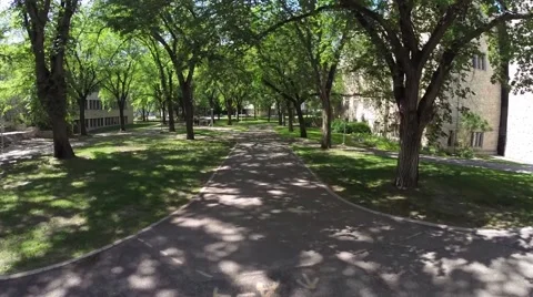 A smooth trip through trees on a pathway Stock Footage 42736710