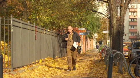 Smooth Tripod Pan from Autumn Trees down to Man Walking on Orange Leafy footpath Stock Footage 56736342