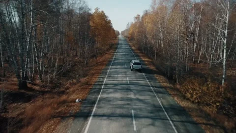 Smooth video from the copter, the car rides the road through the autumn forest 库存影片 201439425