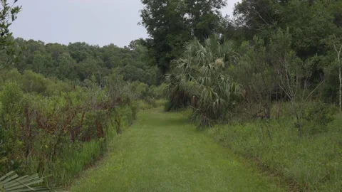 Smooth Walk Down Grass Trail Gimbal Shot Stock Footage 132432241