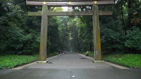 Smooth Walking Through Torii Gate at meiji shrine  in Tokyo, Japan Stock Footage 104282588