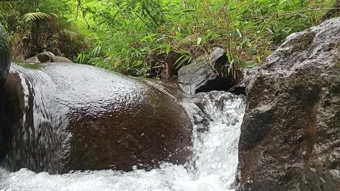Smooth Water Flow Over Rock Surface Calm Stream Close Shot Stock Footage 330582757