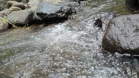 Smooth Water Flow Over Stones in Natural River Scene Stock Footage 330516608