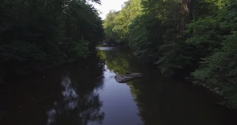 Smooth water into the trees Stock Footage 90736340