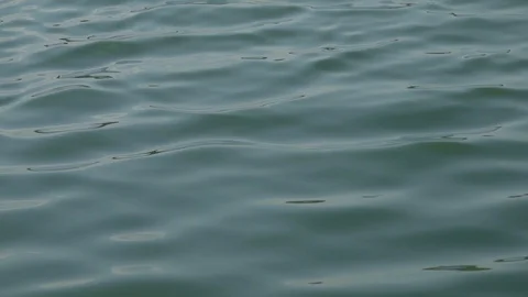 Smooth Water wave in Slow Motion Video stock 88867608
