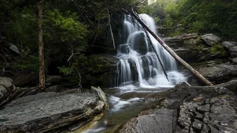 Smooth waterfall in lush green forest 8K time lapse Stock Footage 111137498