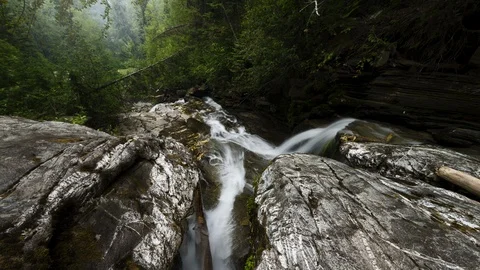 Smooth waterfall in lush green forest 8K time lapse Video stock 111138785