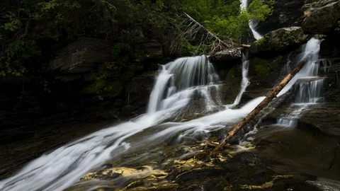 Smooth waterfall in lush green forest 8K time lapse Stock Footage 111139341