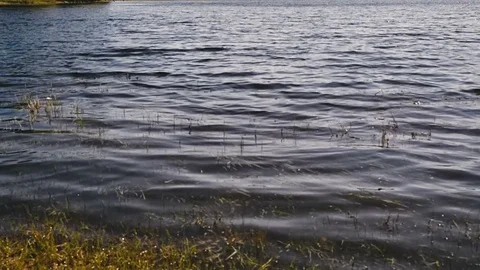 Smooth waters Stock Footage 81812696