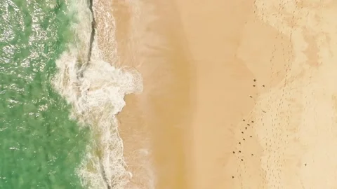 Smooth Wave On Magical Sandy Beach At Sunny Day In Los Cabos Baja California Stock Footage 332387072