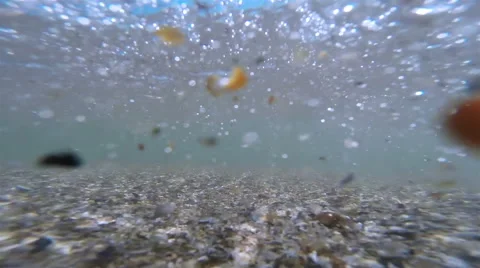 Smooth Waves On The Beach Stock-Footage 55065184