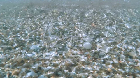 Smooth Waves On The Beach 스톡 동영상 55065335