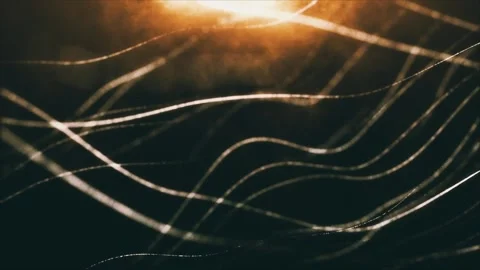 Smooth waves from lines in 3D, on the background of orange light. Stock Footage 300455506