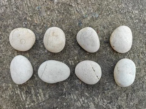 Smooth White Pebbles Arranged in Two Rows on Concrete Surface Stock Photos