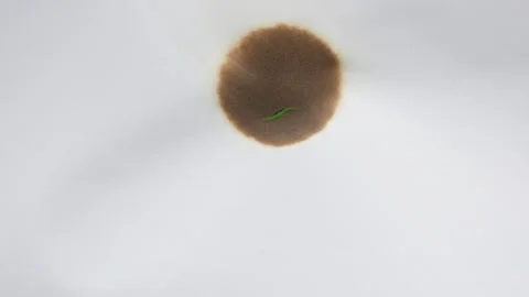 Smooth white sheet of paper burns with a hole on a green background Stock Footage 165821231