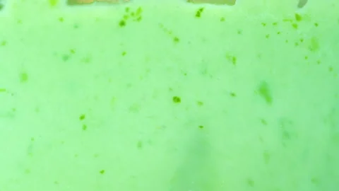 Smoothie in a blender Stock-Footage 135517039